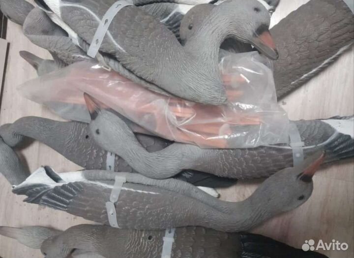 Чучела гусей