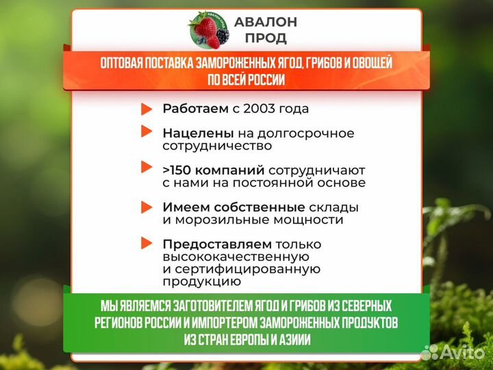 Манго замороженное, кубик / замороженные фрукты