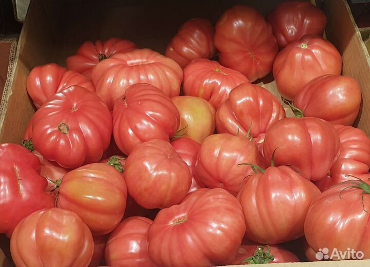 Помидоры 