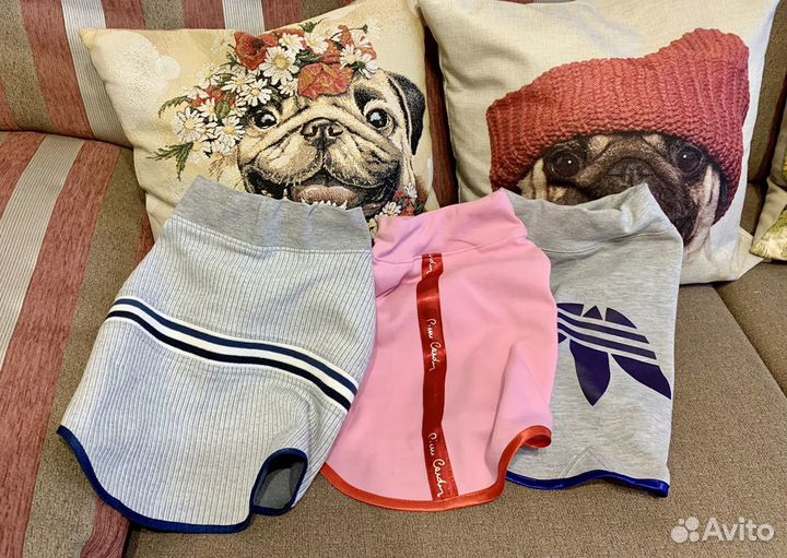 Одежда для собак мопс/ французский бульдог
