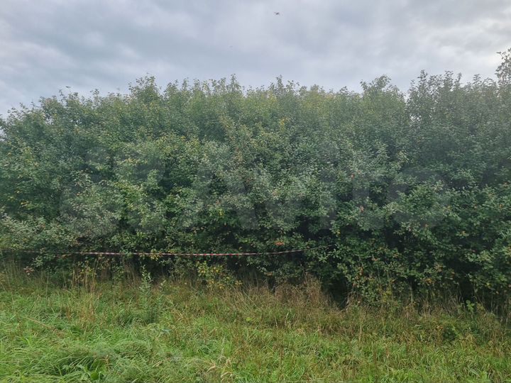 Участок 12 сот. (ИЖС)