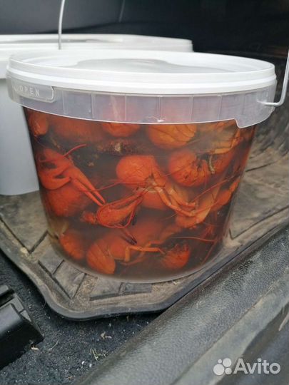 Живые и Варёные раки в Наличии с доставкой