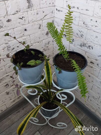 Цветочная композиция