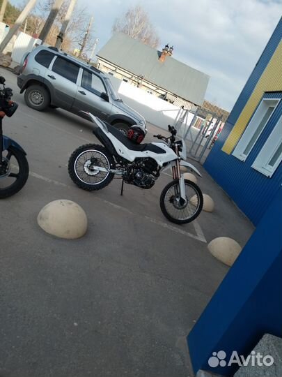 Ирбис ттр 250р