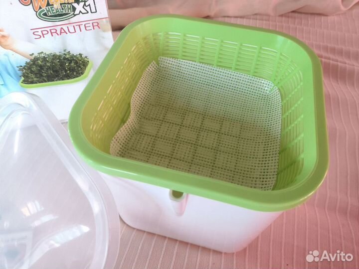 Новый проращиватель 