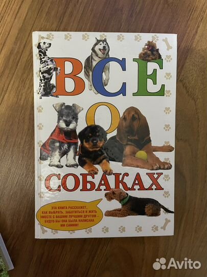 Детская книга о собаках