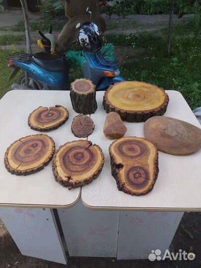 Спил карагач каштан тополь