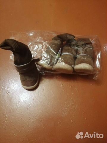 Зимняя обувь для собак