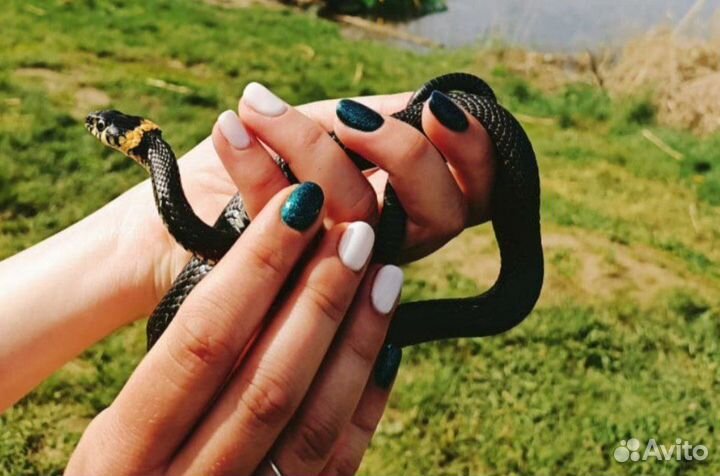 Маникюр, наращивание ногтей