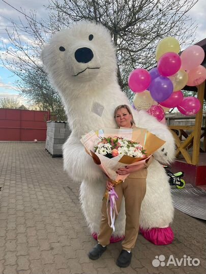 Белый медведь/ мишка поздравление