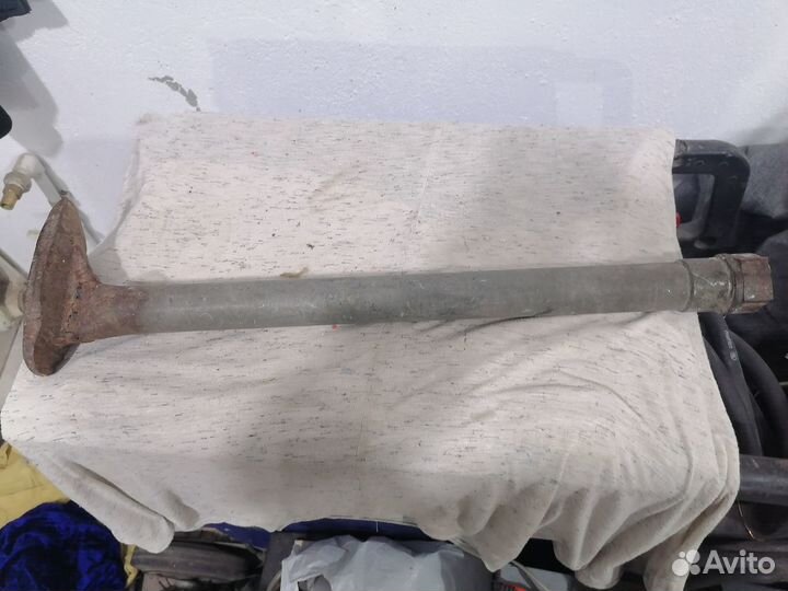 Лапа для сапожника