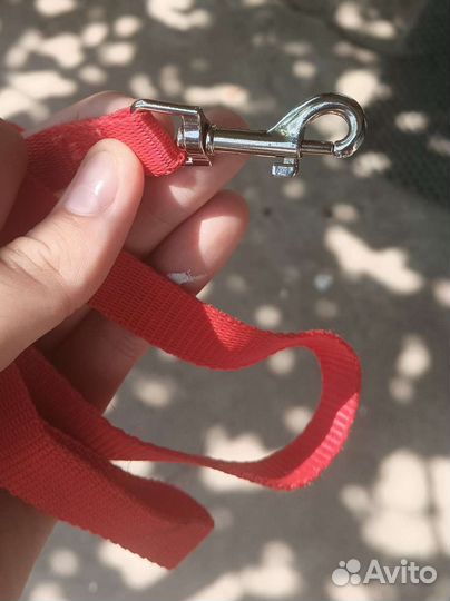 Шлейка для собак и кошек