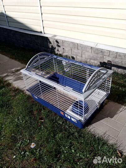 Клетка для морской свинки