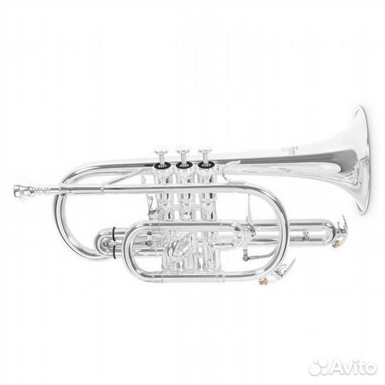 Корнет Roy Benson CR-302S