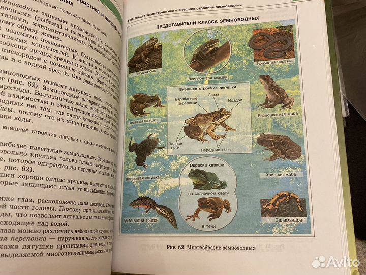 Биология 7 класс Трайтак