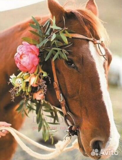 Алмазная мозаика 40x50 Лошадь с цветочным украшени