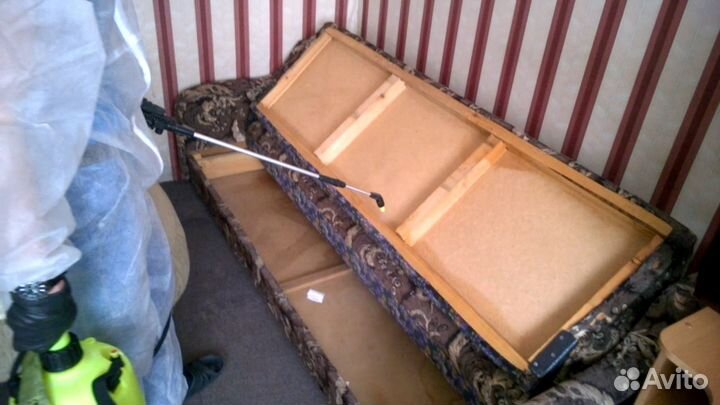 Уничтожение клопов,тараканов,крыс,блох,грибка