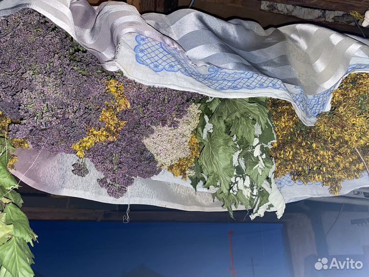 Веники банные