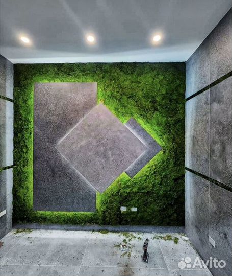 Стабилизированный мох