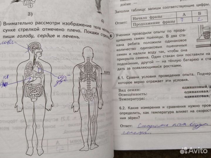 Впр 4 класс окружающий мир