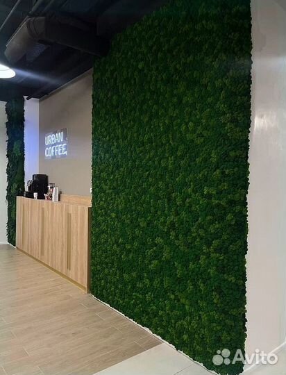 Стабилизированный мох панно