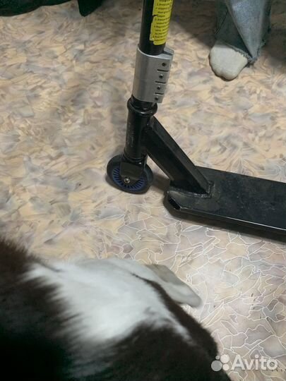Трюковой самокат бу