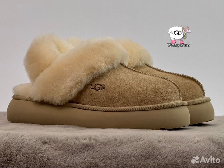 Угги тапочки женские Ugg Slippers Disquette