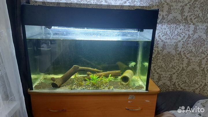 Аквариум