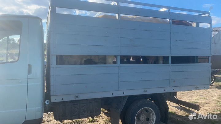 Заготовитель