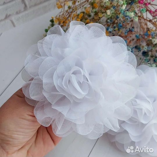 Белые банты в школу