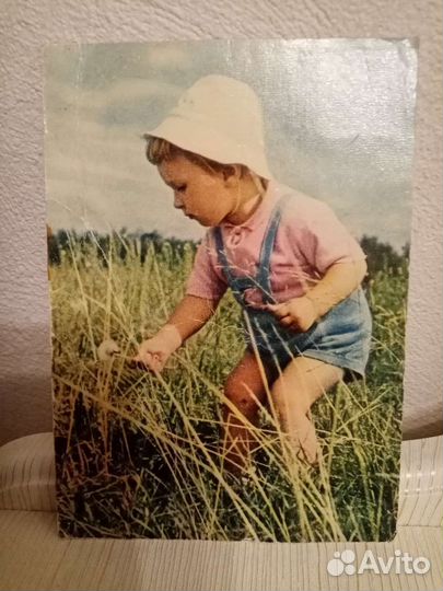 Открытки Зарубина и др.авторов, 1951-89гг