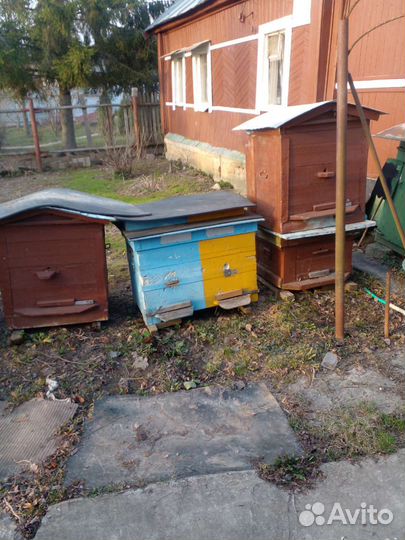 Улей для пчел бу