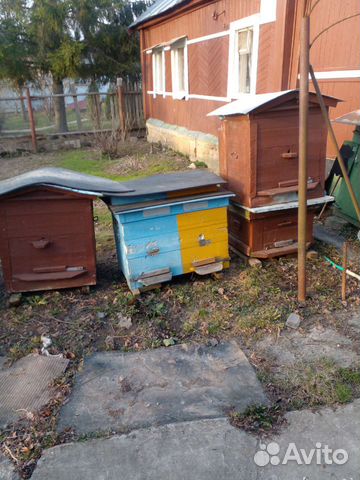 Улей для пчел бу
