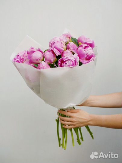 Цветы пионы