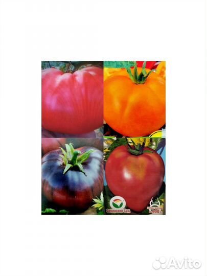 Рассада овощей