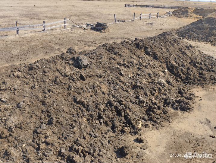 Перегной домашний