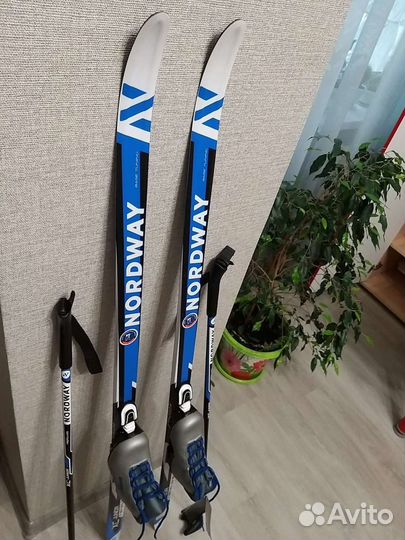 Беговые лыжи