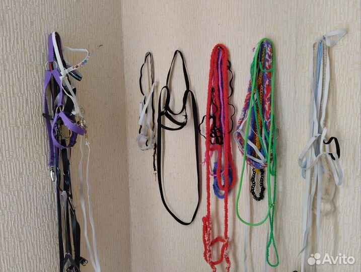 Хобби хорс на заказ