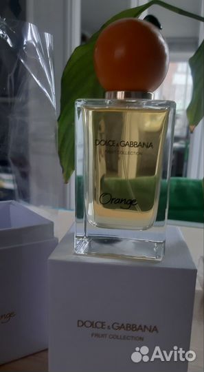 Dolce & Gabbana Fruit Collection Orange