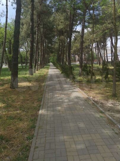 Квартира-студия, 34 м², 4/7 эт.