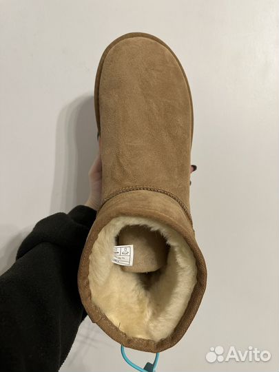 Угги Ugg Classic Mini Chestnut Оригинал