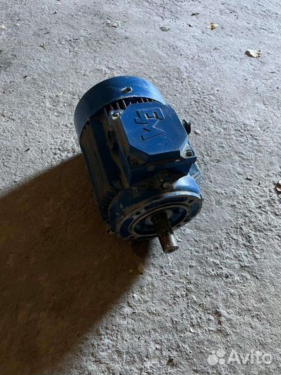 Электродвигатель от мясорубки мим 300