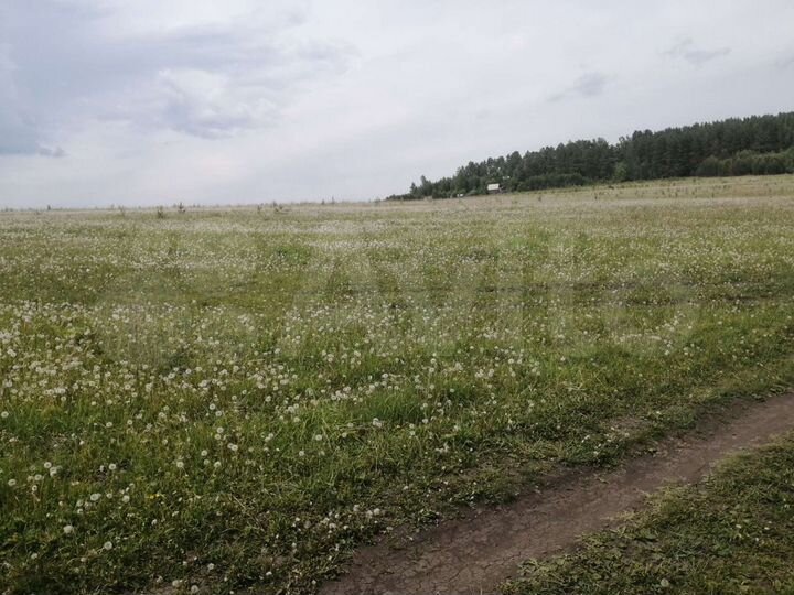 Участок 4,9 га (СНТ, ДНП)