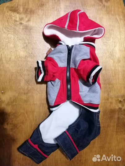 Одежда для собак