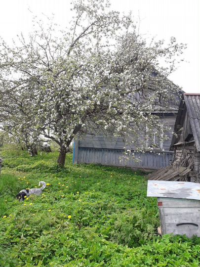 Дом 72 м² на участке 35 сот.