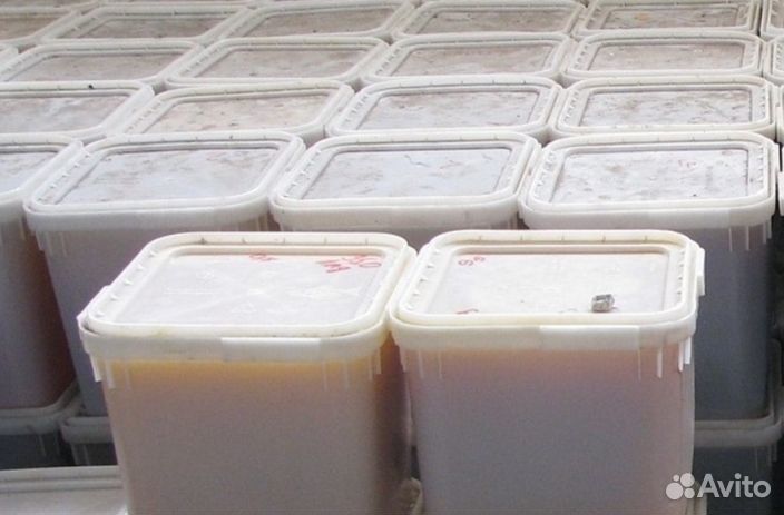 Мёд натуральный с Алтая опт от 16 кг