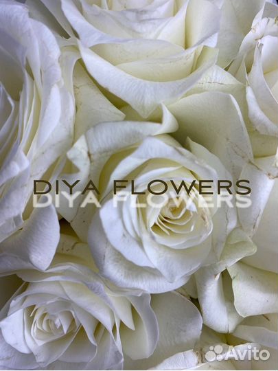 Требуется продавец в магазин цветов и табака