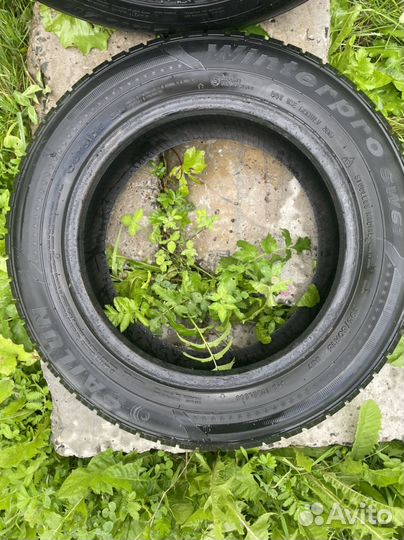 Sailun Winterpro SW61 195/60 R15