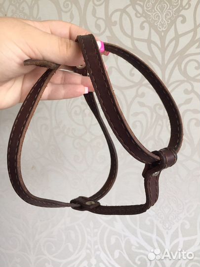 Шлейка для щенка