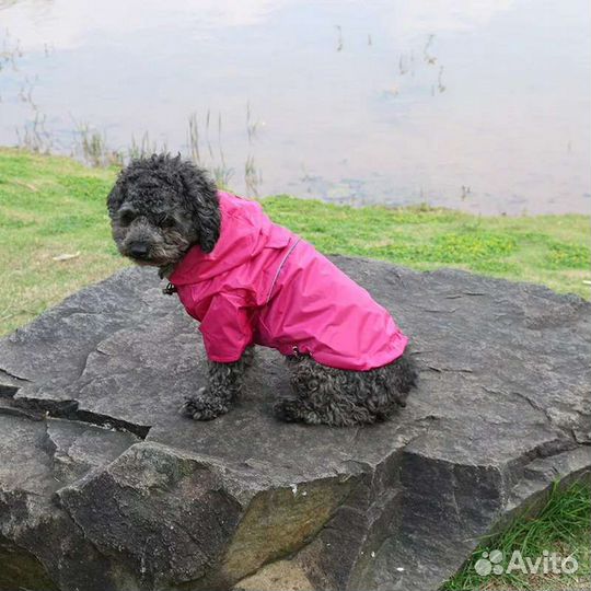 Куртка дождевик для собак Размер 3 цвета
